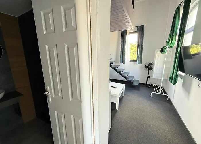 Guest house Zoon In Costinesti