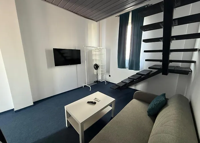 Zoon In * Costinesti